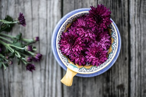 Purple Flower Vask